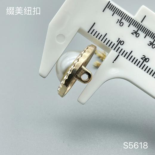 S5618(整包购买) 商品图4