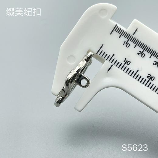 S5623(整包购买) 商品图3