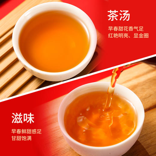 祥源茶 百年传祁 祁红香螺礼盒特级祁门红茶礼盒192g 商品图3