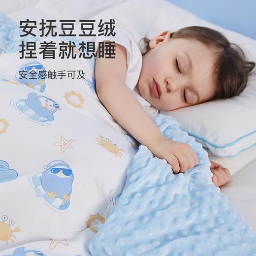 舒飘儿防螨豆豆绒盖毯被 商品图3