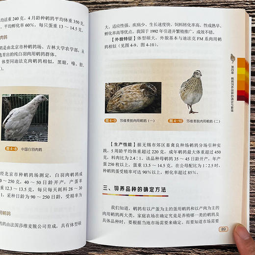 养鹌鹑家庭农场致富指南 商品图6