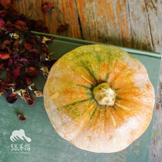 生态香蜜南瓜 | 绿家自产*Ecological pumpkin | Self-production 商品图3