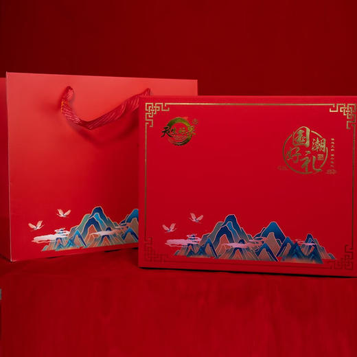 天生好果国潮好礼福利个性化定制有机银耳罐装礼盒60克X2罐 商品图1