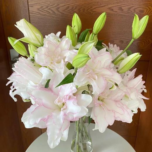 百合-冰美人三头-10支 商品图0