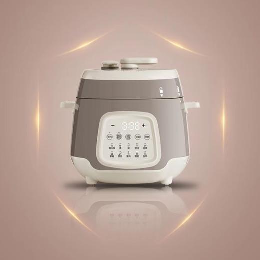 【春上新】10楼 膳魔师 2.5L多功能安全电压力锅   吊牌价780元/只  活动价599元/只 商品图1