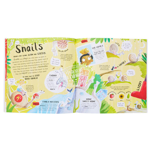 【中商原版】Matt Robertson Do You Love Bugs 你喜欢昆虫吗？英文原版 进口图书 儿童绘本 动物科普知识图画书 商品图6