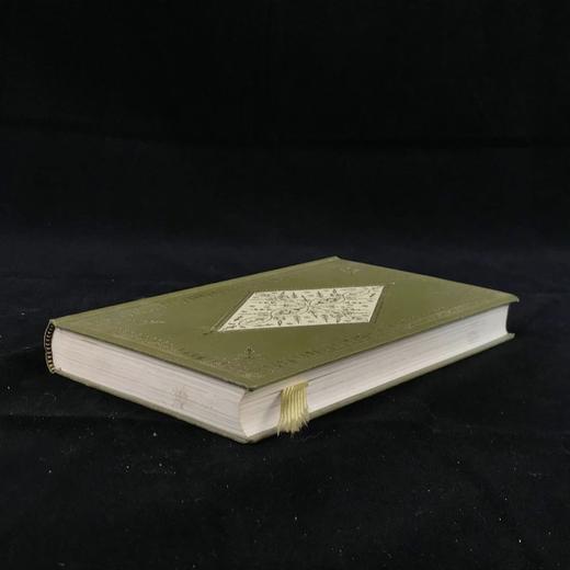 琼·哈斯利普《卢克雷齐娅·博尔贾研究》 20幅插图 苍鹭出版社（HeronBooks）复古仿皮精装本 商品图1