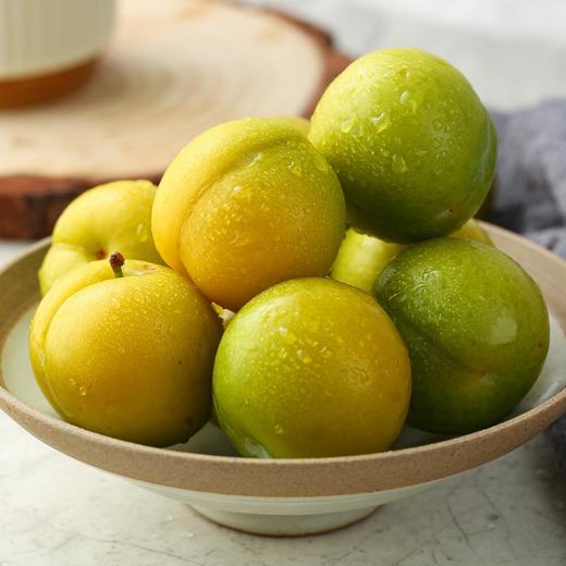 高山蜂糖李 商品图2