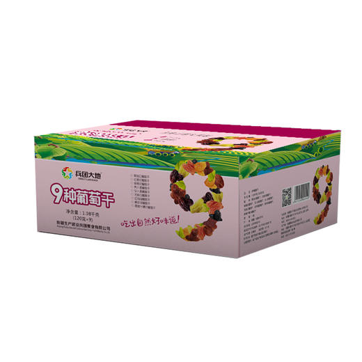 9种葡萄干组合(102g*9) 商品图3