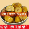 【沂蒙山油板栗仁】开袋即食 浓郁板栗香 方便省事 休闲零食 健康0添加 商品缩略图1