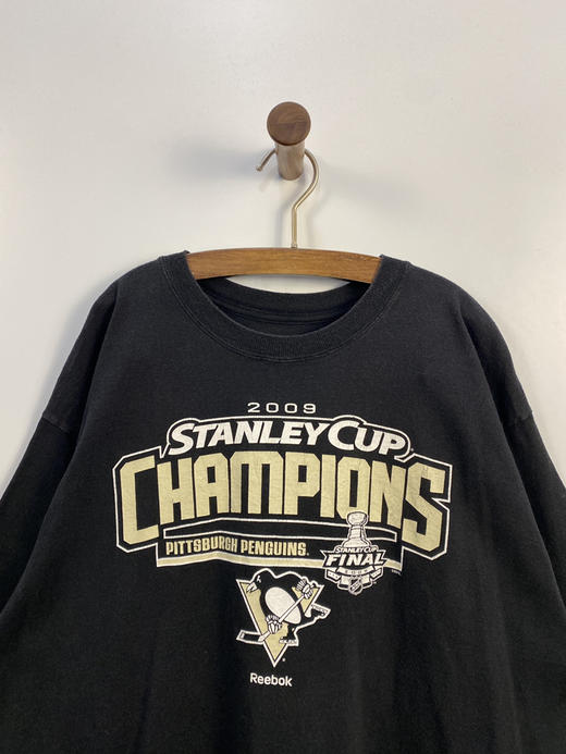 Y2K Vintage Reebok 锐步 NHL 美国国家冰球联盟 斯坦利杯（Stanley Cup） 厚款 短袖T恤 _SST(XL) 商品图3