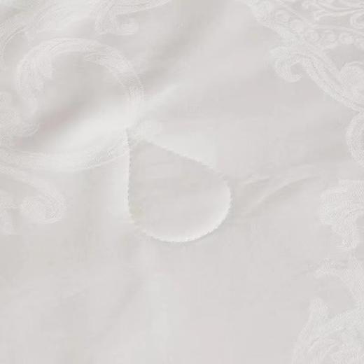 【恐龙厅】B座7F | 恐龙全棉提花桑蚕丝被 商品图1