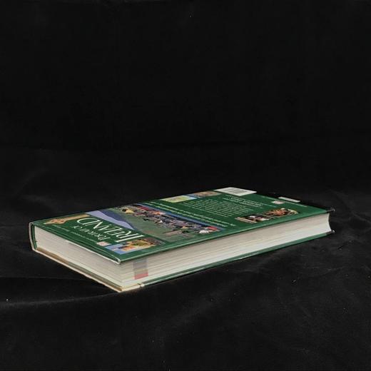 爱尔兰风物志 数百幅彩色插图 精装大16开 商品图2