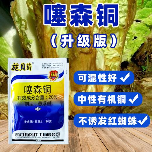 噻森铜酮果树蔬菜细菌病软腐病溃疡病角斑病青枯病专用农药杀菌剂 商品图4