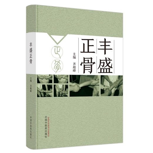 丰盛正骨 齐越峰 主编 中国中医药出版社 中医临床 书籍 商品图5