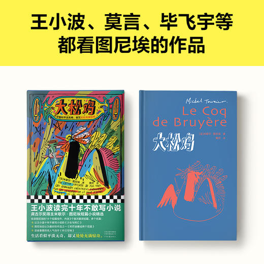 读客大松鸡（米歇尔·图尼埃黄荭译短篇小说龚古尔文学奖精装王小波） 商品图6