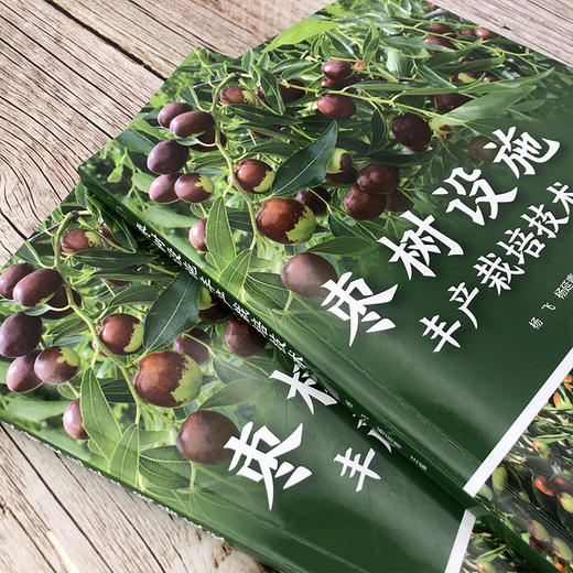 枣树设施丰产栽培技术 商品图2