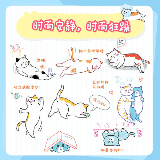 猫里猫气 减压猫咪简笔画 飞乐鸟萌系简笔画教程书彩色铅笔画绘画技法猫咪手帐素材插画这里全是猫戳萌点的减压简笔画 商品图3