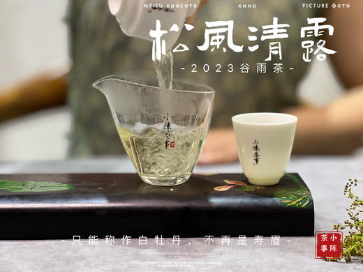 【村姑陈推荐】2023高山谷雨茶，不能再称作谷雨寿眉了，一多半全是白牡丹 商品图6