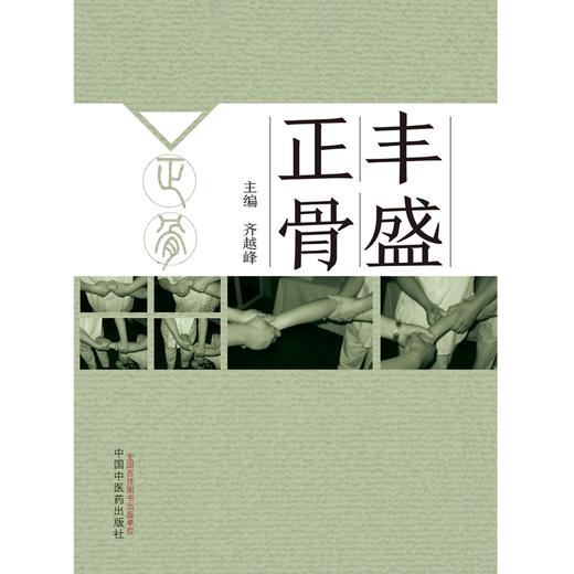 丰盛正骨 齐越峰 主编 中国中医药出版社 中医临床 书籍 商品图1