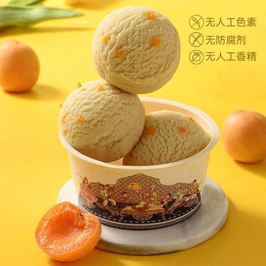 【活动】棘棘果王新疆手工冰淇淋（非遗产品） 商品图3