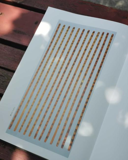 《郭店楚墓竹简》，8开，精装，荆门市博物馆编，文物出版社2022年10月1版3印，定价460，售价218元。 商品图4