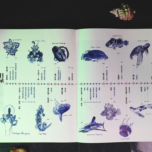 眼界之外：海洋 艺术与海洋爱好者的视觉盛宴 商品图5