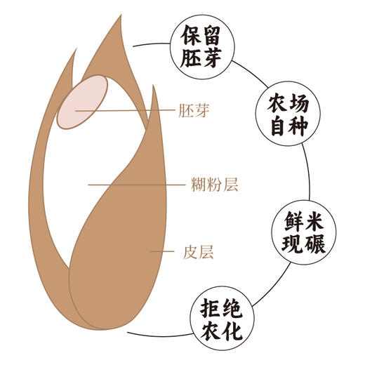 香畴自然农法糙米 可发芽粗粮 1kg/袋 商品图5