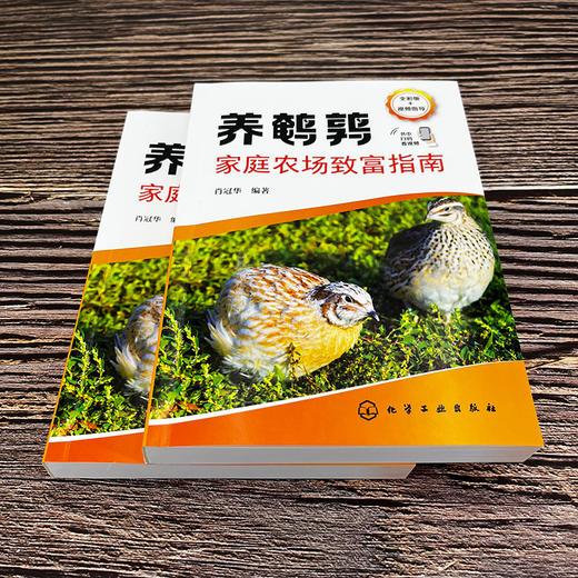 养鹌鹑家庭农场致富指南 商品图4