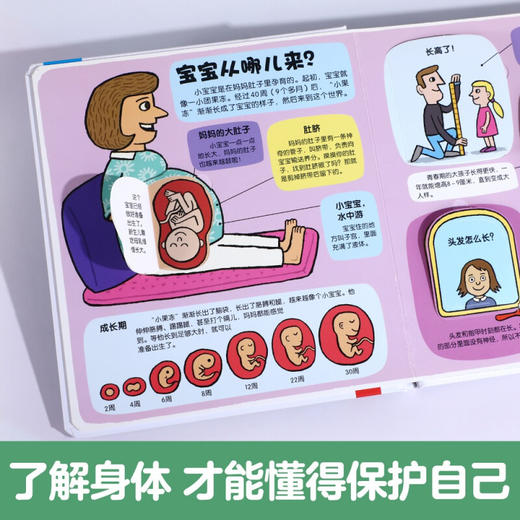 小小探险家系列第一辑  V2.1 不可思议的身体 3-6岁 露丝·马丁 著 幼儿启蒙 商品图1