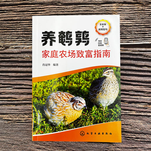 养鹌鹑家庭农场致富指南 商品图1