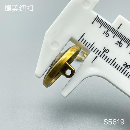 S5619(整包购买) 商品图4