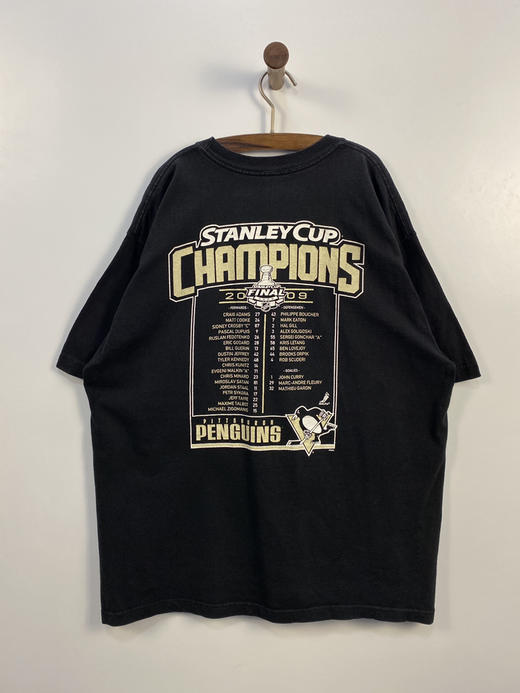 Y2K Vintage Reebok 锐步 NHL 美国国家冰球联盟 斯坦利杯（Stanley Cup） 厚款 短袖T恤 _SST(XL) 商品图1
