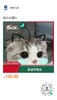 李老师书法 商品缩略图0