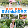 双人99抢黄金谷景区年卡！高山滑道+玻璃桥+喊泉+绿野仙踪+莫奈花园···一票全含 商品缩略图3