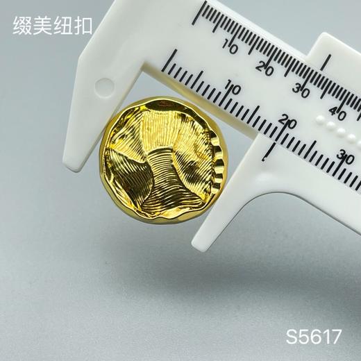 S5617(整包购买) 商品图3