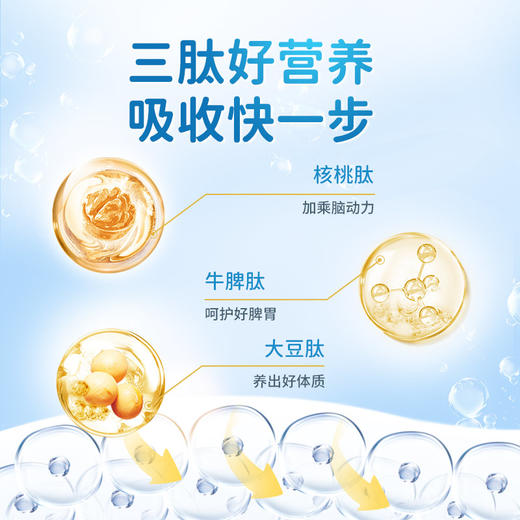 【贝思达】六联活性益生菌固体饮料 商品图4