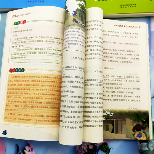 大语文·语文原来可以这样学（全6册） 商品图3