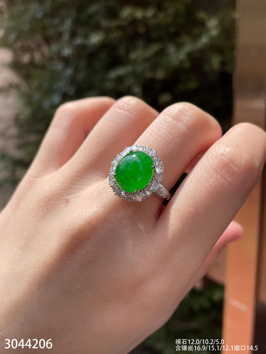 3044206，老坑高冰艳绿蛋面戒指。具体价格微信咨询 商品图1