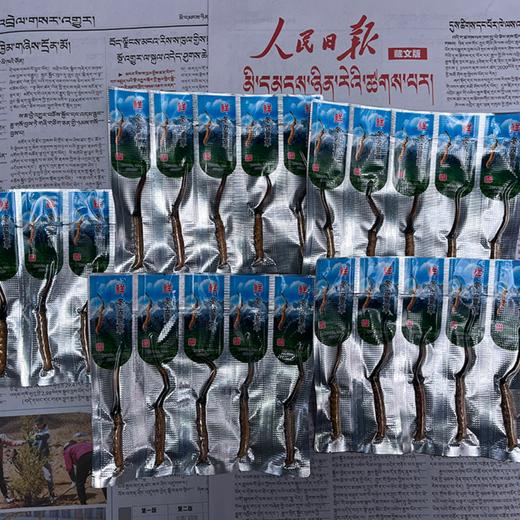 野生那曲高海拔新鲜冬虫夏草【满50条包邮】 | 合作生产* Naqu Cordyceps sinensis | | Coproduction 商品图4