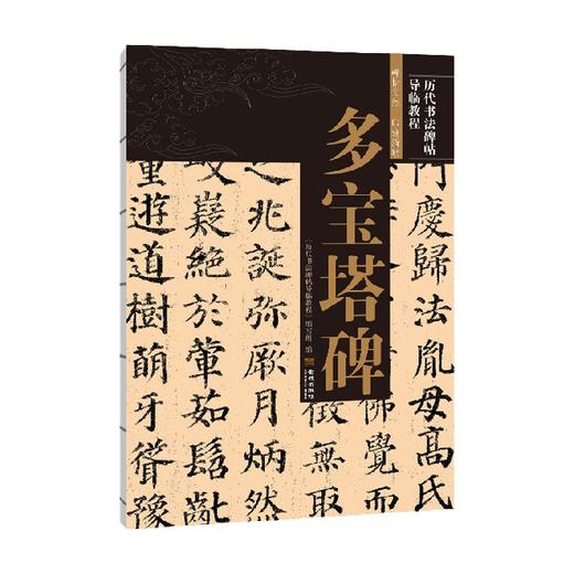 多宝塔碑 《历代书法碑帖导临教程》编导组 著 书法 商品图0