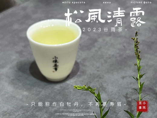 【村姑陈推荐】2023高山谷雨茶，不能再称作谷雨寿眉了，一多半全是白牡丹 商品图12
