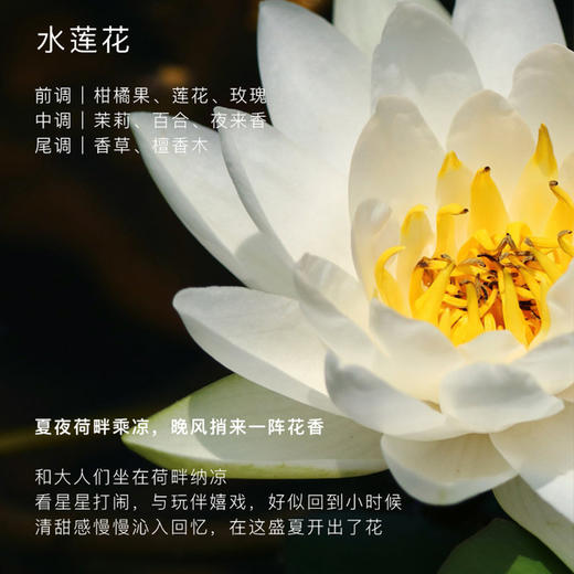 Tesori d'Oriente东方宝石保湿香氛身体霜身体乳300ml 水莲花香 商品图4