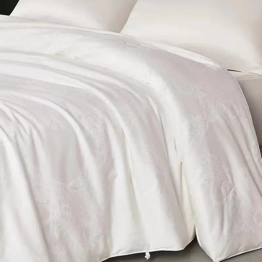 【恐龙厅】B座7F | 恐龙全棉提花桑蚕丝被 商品图2