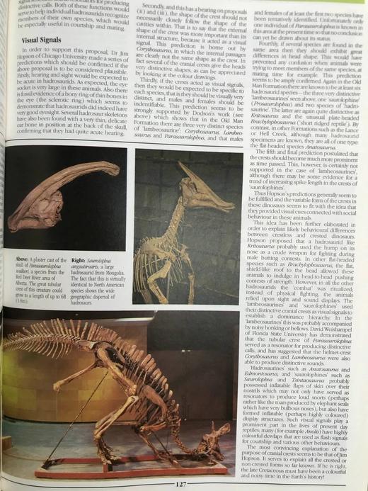 恐龙图解百科 数百幅彩色插图 精装大16开 商品图5