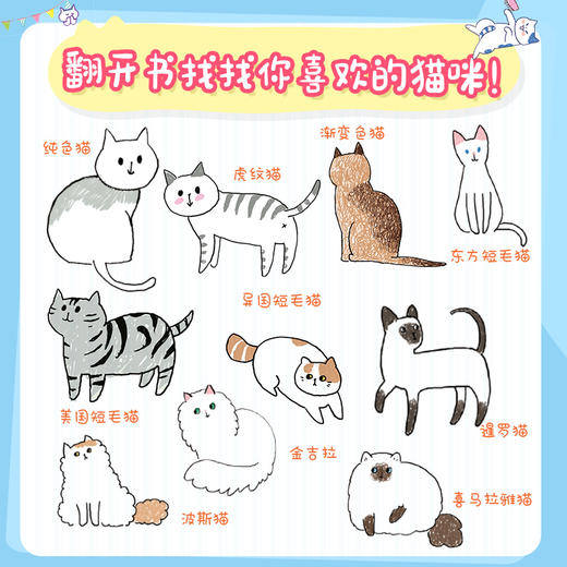 猫里猫气 减压猫咪简笔画 飞乐鸟萌系简笔画教程书彩色铅笔画绘画技法猫咪手帐素材插画这里全是猫戳萌点的减压简笔画 商品图2