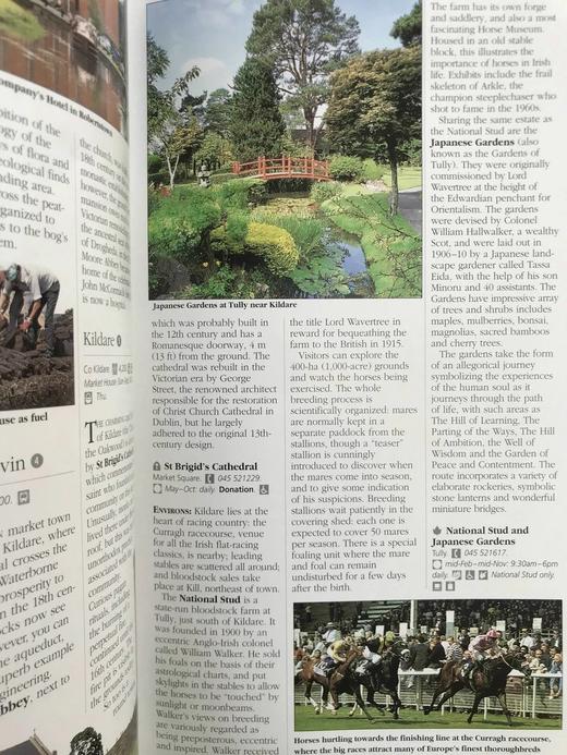 爱尔兰风物志 数百幅彩色插图 精装大16开 商品图10