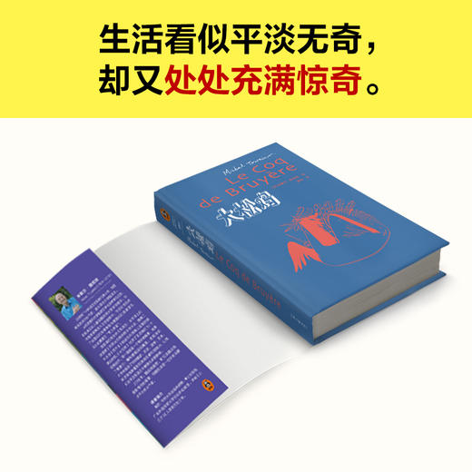 读客大松鸡（米歇尔·图尼埃黄荭译短篇小说龚古尔文学奖精装王小波） 商品图3