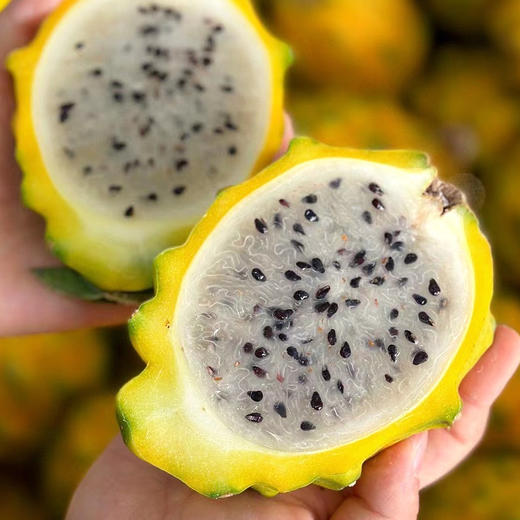 『海南燕窝果』纯甜嫩滑，汁丰润口，晶莹剔透，营养丰富，水果中的“冰糖燕窝”！ 商品图5