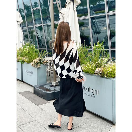 25特价  2306213    真丝 一片式半身裙 商品图3